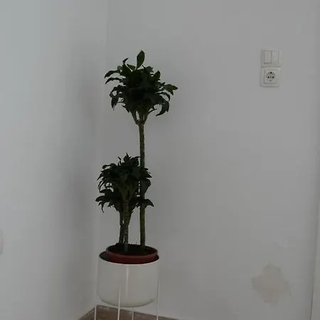Pittas Studios Kardamena 300 Meters From The Beach Апартаменты